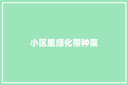 小区里绿化带种菜