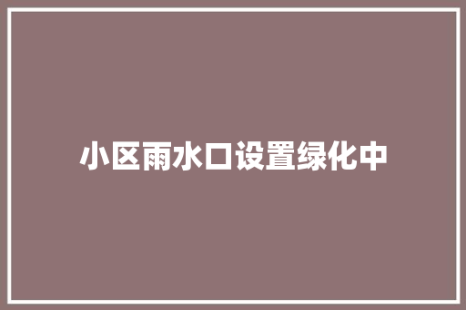 小区雨水口设置绿化中