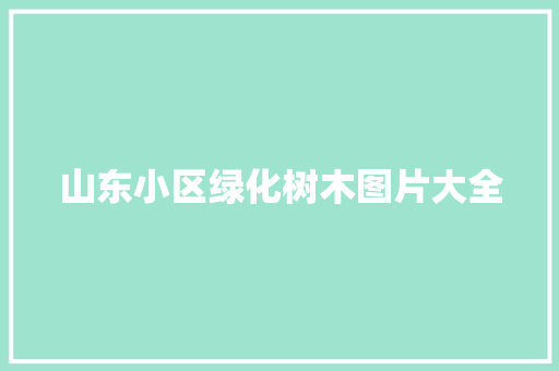 山东小区绿化树木图片大全