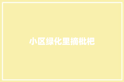 小区绿化里摘枇杷
