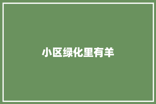 小区绿化里有羊