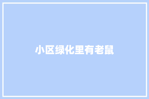 小区绿化里有老鼠