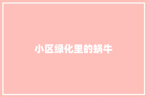 小区绿化里的蜗牛