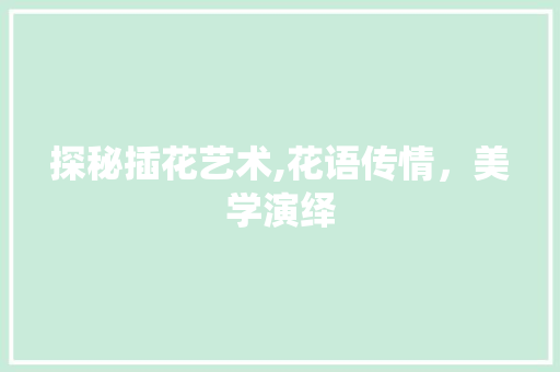 探秘插花艺术,花语传情，美学演绎