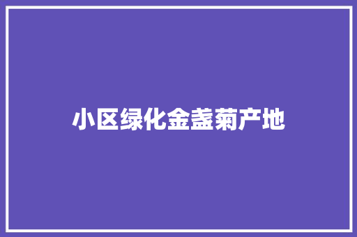 小区绿化金盏菊产地