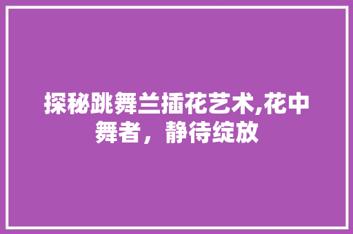 探秘跳舞兰插花艺术,花中舞者，静待绽放