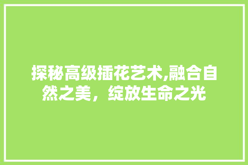 探秘高级插花艺术,融合自然之美，绽放生命之光