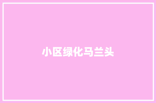 小区绿化马兰头