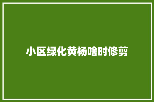 小区绿化黄杨啥时修剪