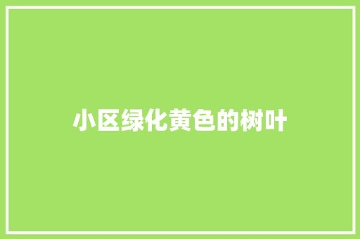 小区绿化黄色的树叶