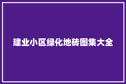 建业小区绿化地砖图集大全