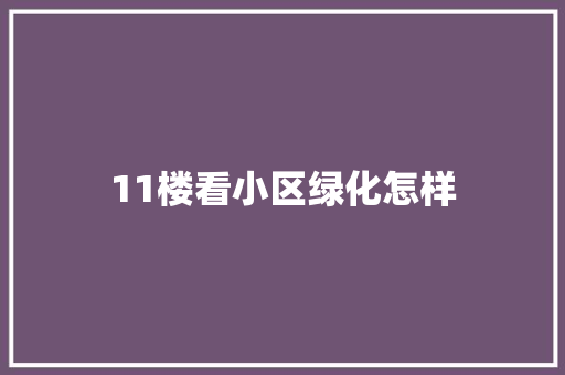 11楼看小区绿化怎样