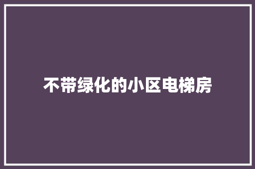 不带绿化的小区电梯房