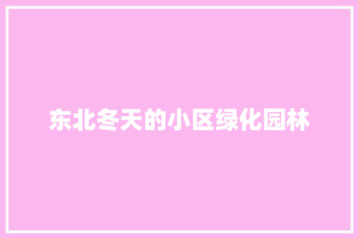 东北冬天的小区绿化园林
