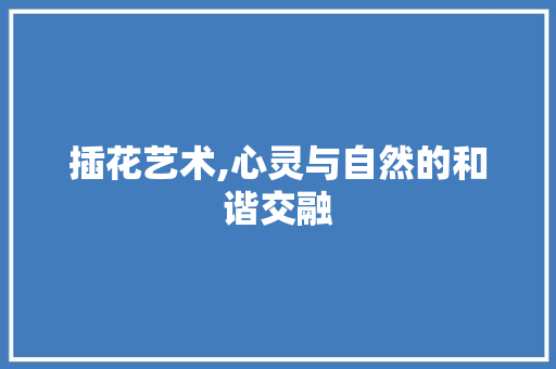 插花艺术,心灵与自然的和谐交融