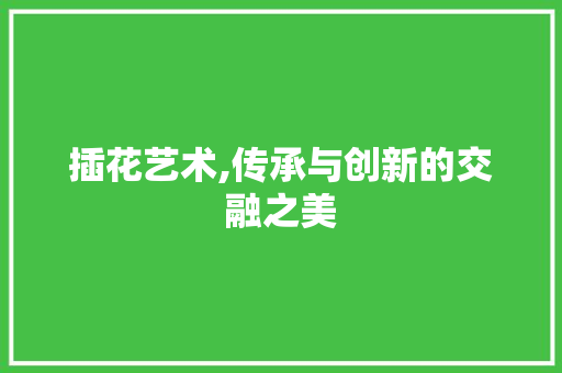 插花艺术,传承与创新的交融之美