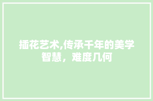 插花艺术,传承千年的美学智慧，难度几何