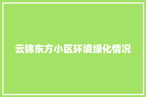 云锦东方小区环境绿化情况