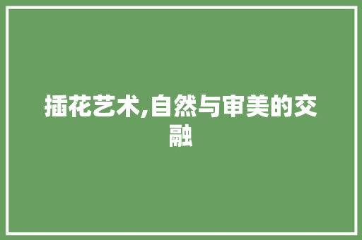 插花艺术,自然与审美的交融