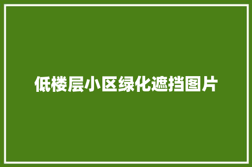 低楼层小区绿化遮挡图片
