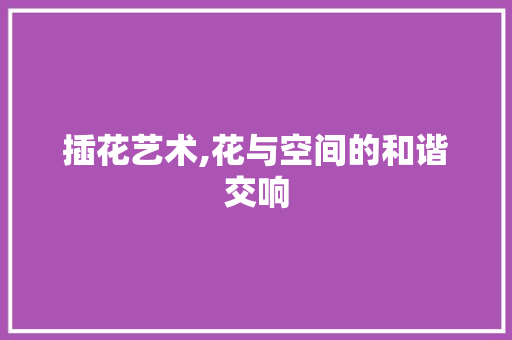 插花艺术,花与空间的和谐交响