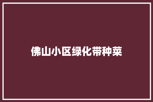 佛山小区绿化带种菜
