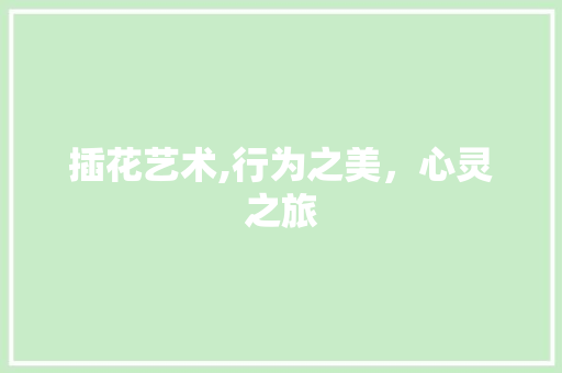 插花艺术,行为之美，心灵之旅