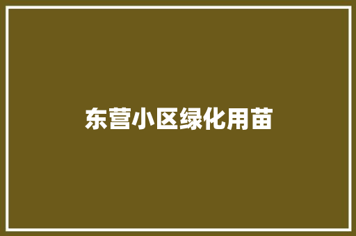 东营小区绿化用苗