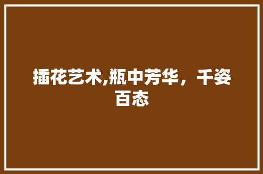 插花艺术,瓶中芳华，千姿百态