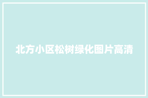 北方小区松树绿化图片高清