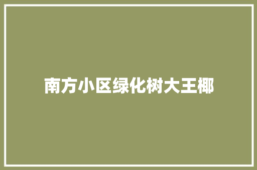南方小区绿化树大王椰