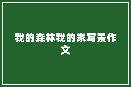 插花艺术之美,自然与人文的完美融合