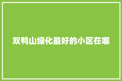 双鸭山绿化最好的小区在哪