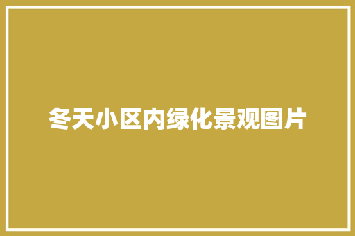 冬天小区内绿化景观图片