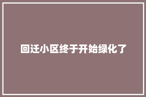 回迁小区终于开始绿化了