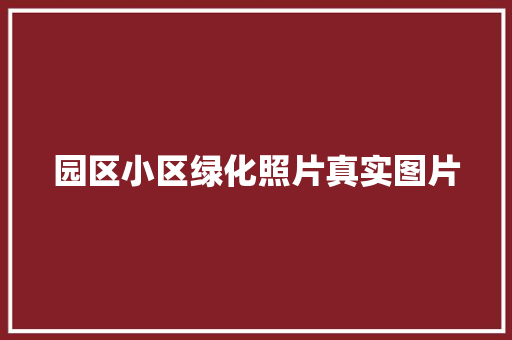 园区小区绿化照片真实图片