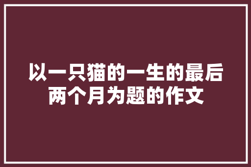 插花艺术展,绽放生活中的诗意之美