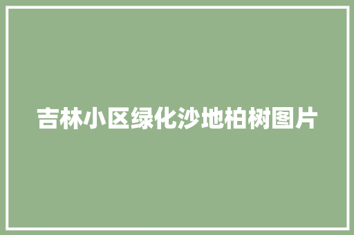 吉林小区绿化沙地柏树图片