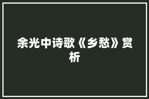 插花艺术品的魅力,传承与创新的美学之旅