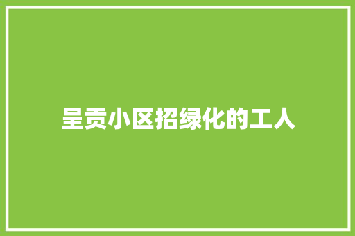 呈贡小区招绿化的工人
