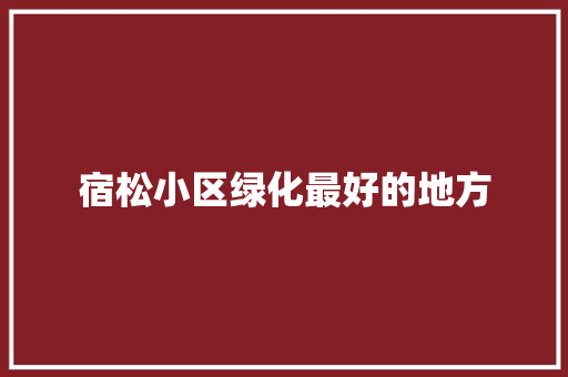 宿松小区绿化最好的地方 林木育苗