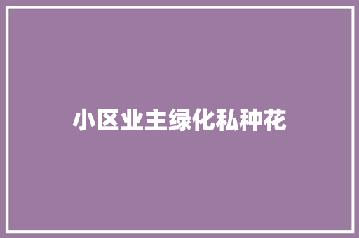小区业主绿化私种花