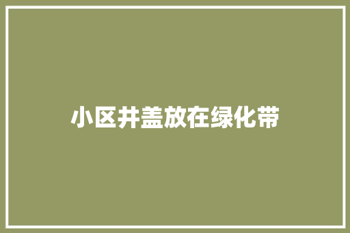 小区井盖放在绿化带