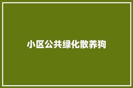 小区公共绿化散养狗