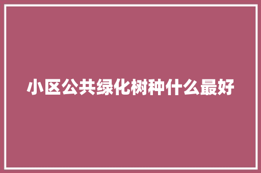 小区公共绿化树种什么最好