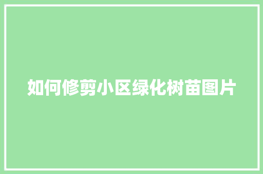 如何修剪小区绿化树苗图片
