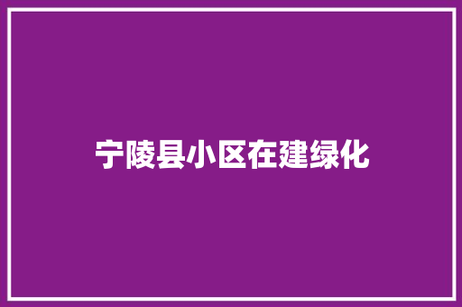 宁陵县小区在建绿化