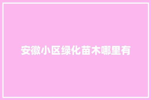 安徽小区绿化苗木哪里有