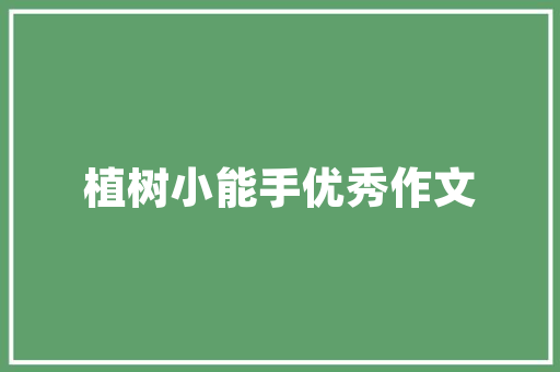 插花艺术的魅力,一场视觉与文化的盛宴