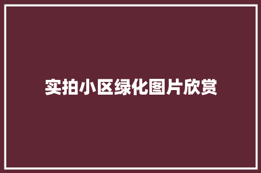 实拍小区绿化图片欣赏